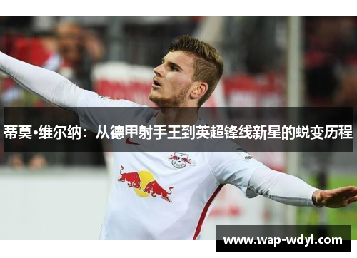 蒂莫·维尔纳：从德甲射手王到英超锋线新星的蜕变历程