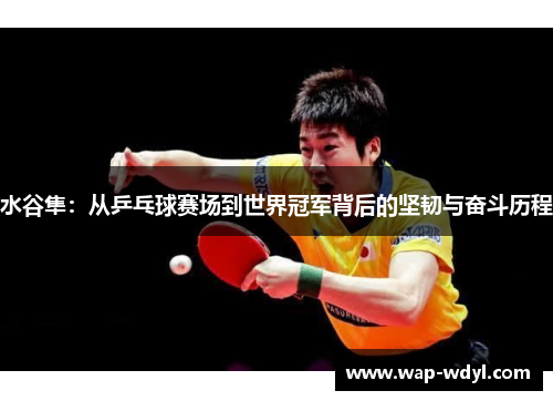 水谷隼：从乒乓球赛场到世界冠军背后的坚韧与奋斗历程