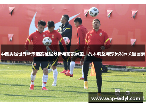 中国男足世界杯预选赛征程分析与前景展望，战术调整与球员发展关键因素
