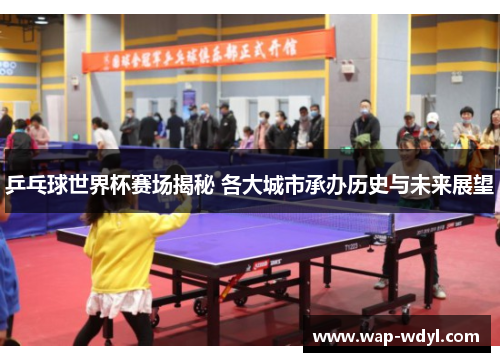 乒乓球世界杯赛场揭秘 各大城市承办历史与未来展望