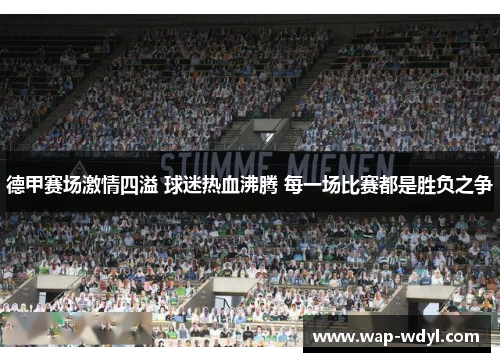 德甲赛场激情四溢 球迷热血沸腾 每一场比赛都是胜负之争