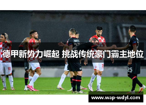 德甲新势力崛起 挑战传统豪门霸主地位