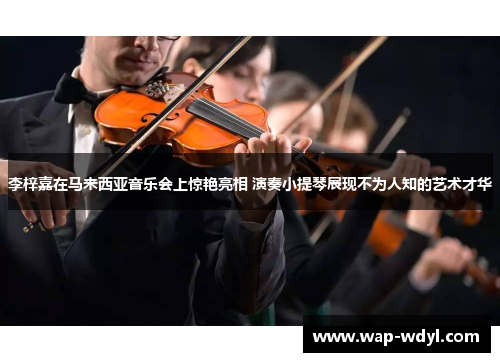 李梓嘉在马来西亚音乐会上惊艳亮相 演奏小提琴展现不为人知的艺术才华