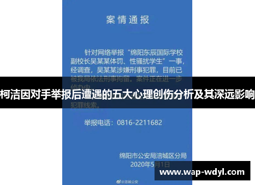 柯洁因对手举报后遭遇的五大心理创伤分析及其深远影响