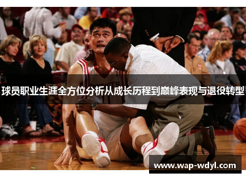 球员职业生涯全方位分析从成长历程到巅峰表现与退役转型