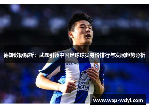 德转数据解析：武磊引领中国足球球员身价排行与发展趋势分析