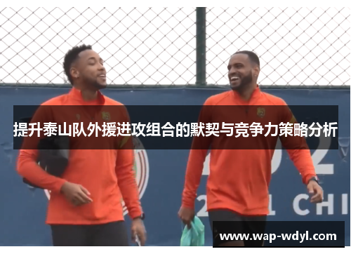 提升泰山队外援进攻组合的默契与竞争力策略分析 提升泰山队外援进攻组合的默契与竞争力策略分析