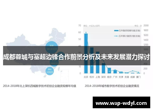 成都蓉城与塞超边锋合作前景分析及未来发展潜力探讨