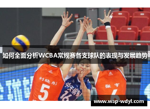 如何全面分析WCBA常规赛各支球队的表现与发展趋势