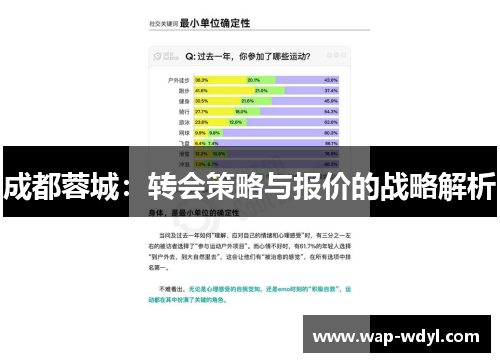 成都蓉城：转会策略与报价的战略解析