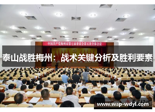 泰山战胜梅州:战术关键分析及胜利要素 泰山战胜梅州:战术关键分析及胜利要素