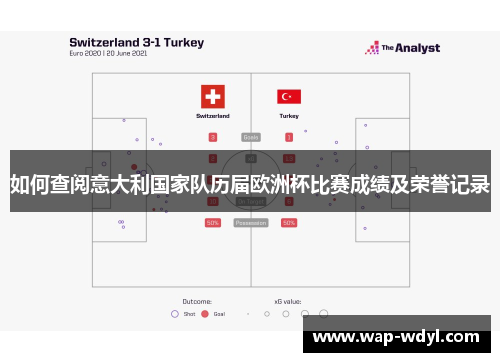 如何查阅意大利国家队历届欧洲杯比赛成绩及荣誉记录