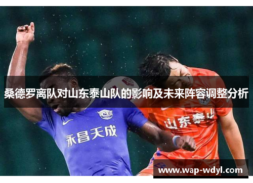 桑德罗离队对山东泰山队的影响及未来阵容调整分析