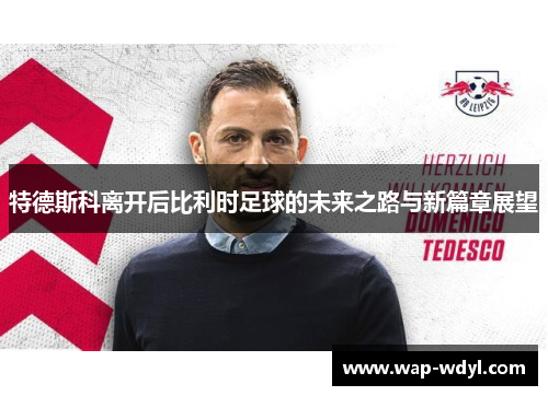 特德斯科离开后比利时足球的未来之路与新篇章展望