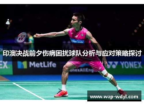 印澳决战前夕伤病困扰球队分析与应对策略探讨