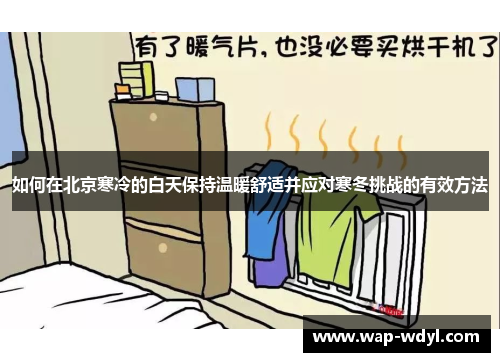 如何在北京寒冷的白天保持温暖舒适并应对寒冬挑战的有效方法