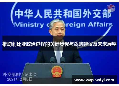 推动利比亚政治进程的关键步骤与战略建议及未来展望