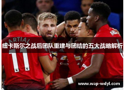 纽卡斯尔之战后团队重建与团结的五大战略解析