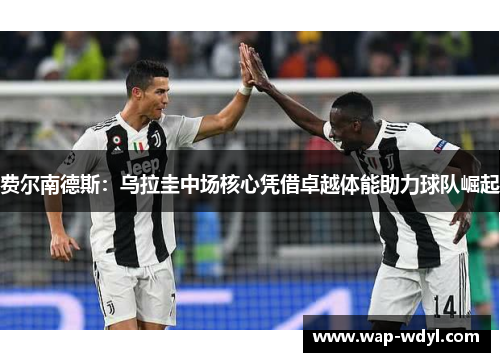 费尔南德斯：乌拉圭中场核心凭借卓越体能助力球队崛起