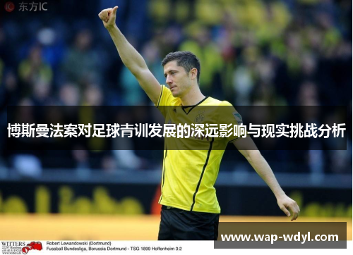 博斯曼法案对足球青训发展的深远影响与现实挑战分析 博斯曼法案对足球青训发展的深远影响与现实挑战分析