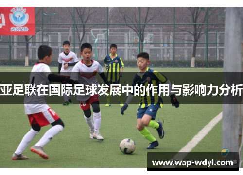 亚足联在国际足球发展中的作用与影响力分析 亚足联在国际足球发展中的作用与影响力分析