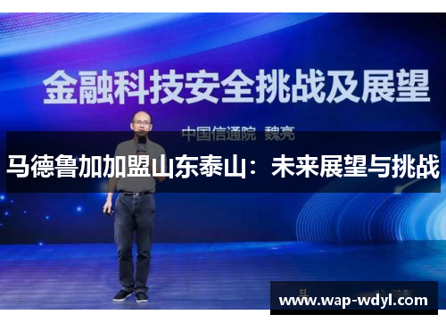 马德鲁加加盟山东泰山：未来展望与挑战