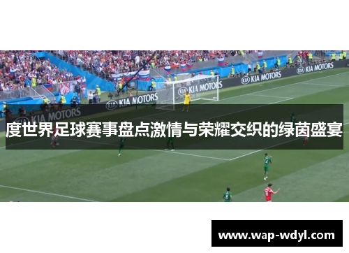 度世界足球赛事盘点激情与荣耀交织的绿茵盛宴
