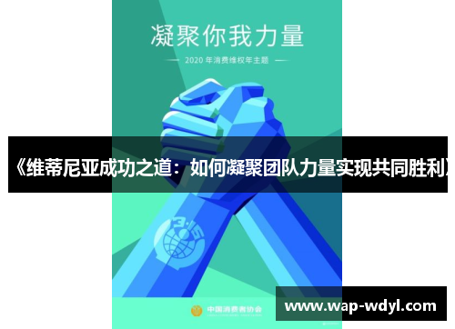 《维蒂尼亚成功之道：如何凝聚团队力量实现共同胜利》