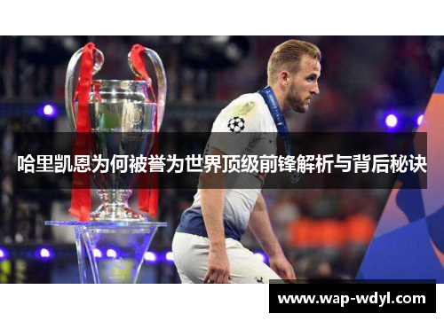 哈里凯恩为何被誉为世界顶级前锋解析与背后秘诀